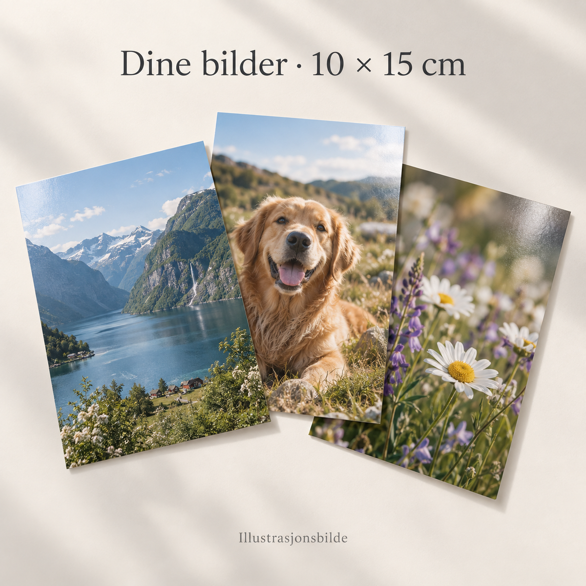 Fotoutskrifter 10 × 15 cm – dine bilder på halvblankt fotopapir