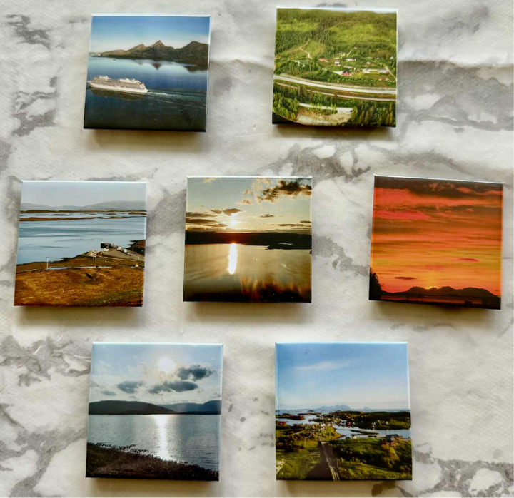 Kjøleskapsmagneter